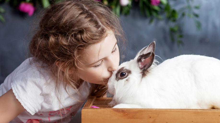 4. sobota v září - Mezinárodní den králíků