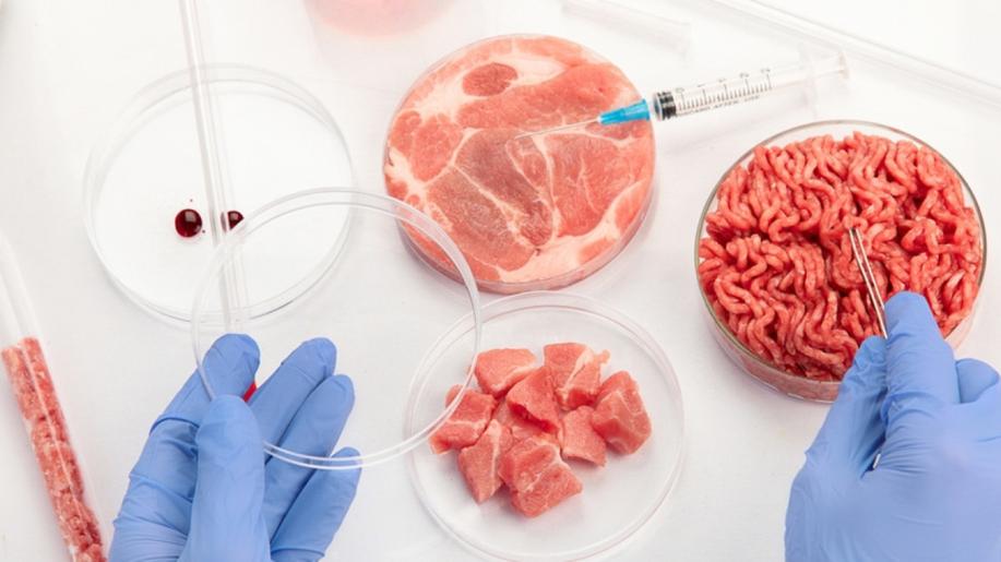 Kultivované maso se možná již brzy stane součástí PET FOOD