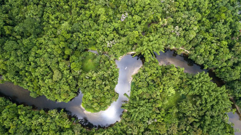 Státy se dohodly na alianci proti odlesňování amazonského pralesa