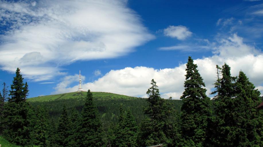 Věk nejstarších stromů na Pradědu a Králickém Sněžníku přesahuje 400 let