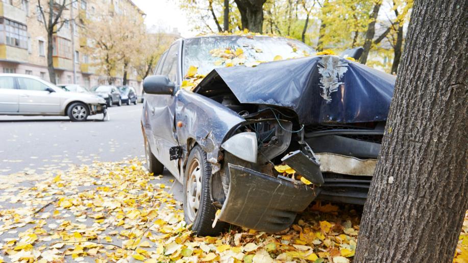 Stromy řidičům pod kola neskáčou, nejčastěji je zabíjí nepozornost a nesprávný způsob jízdy