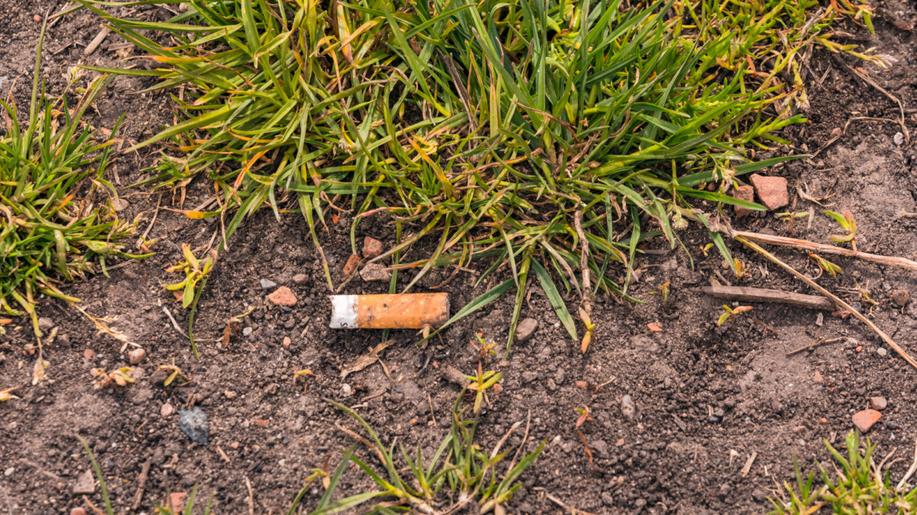Pardubice získají až milion korun na úklid cigaretových nedopalků