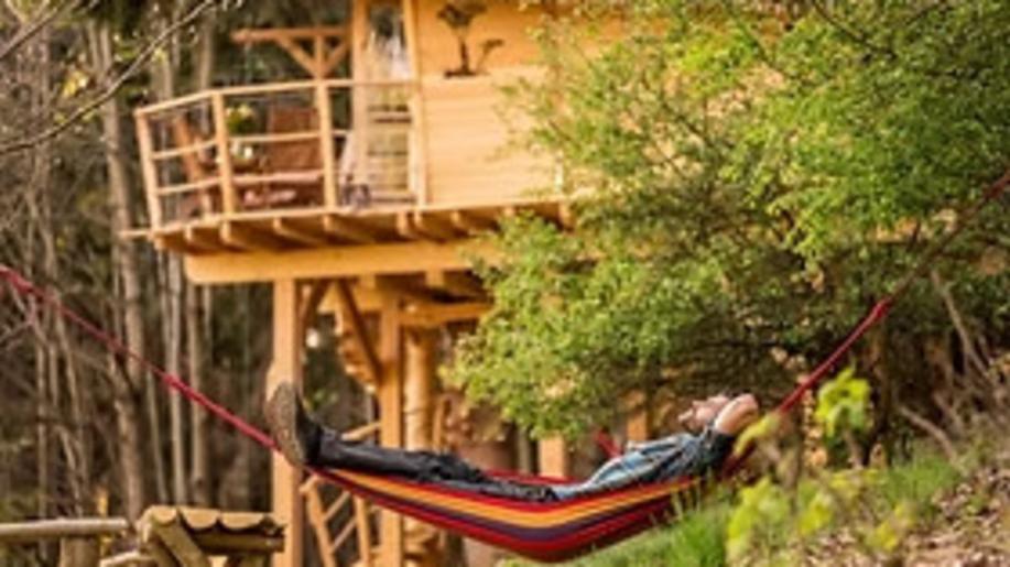 Tři luxusní treehousy pod Ještědem řeší ČIŽP, vznikly bez povolení Tři luxusní treehousy pod Ještědem řeší ČIŽP, vznikly bez povolení
