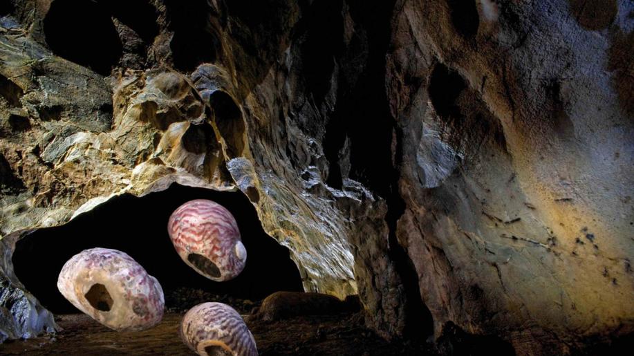 Speciální archeoprohlídky představí historii Kateřinské jeskyně Speciální archeoprohlídky představí historii Kateřinské jeskyně