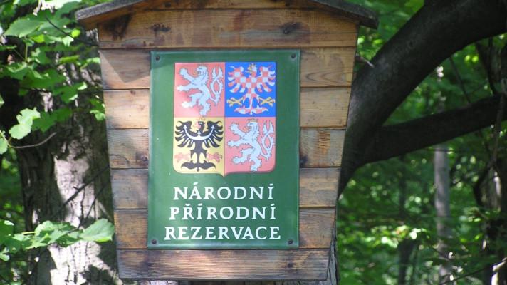 Domažlický historik zmapoval zapomenutá místa příhraniční rezervace Český les