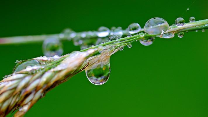 Na zemědělce v Lanškrouně začnou efektivně hospodařit s dešťovou vodou