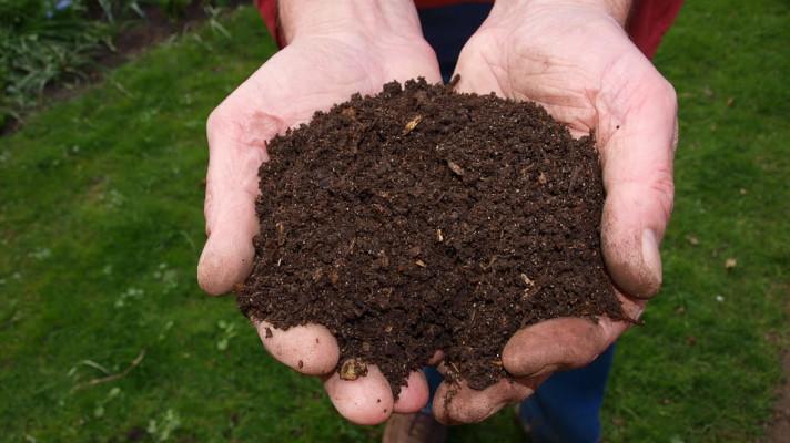 Škodlivé PFAS v hnojivu z čistírenských kalů mohou kontaminovat potraviny
