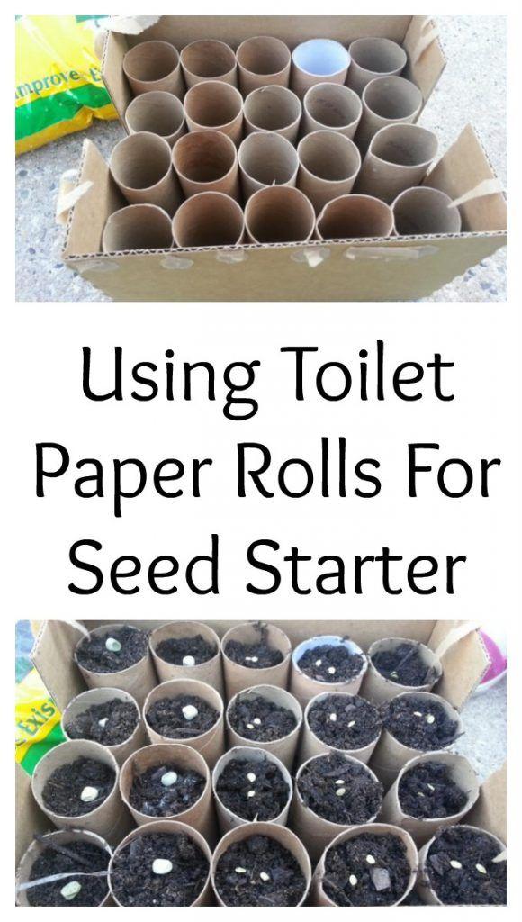 How to Make Toilet Paper Roll Seed Starters